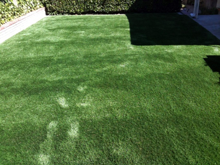 Synthetic Pet Turf Longview North Carolina for Dogs Back