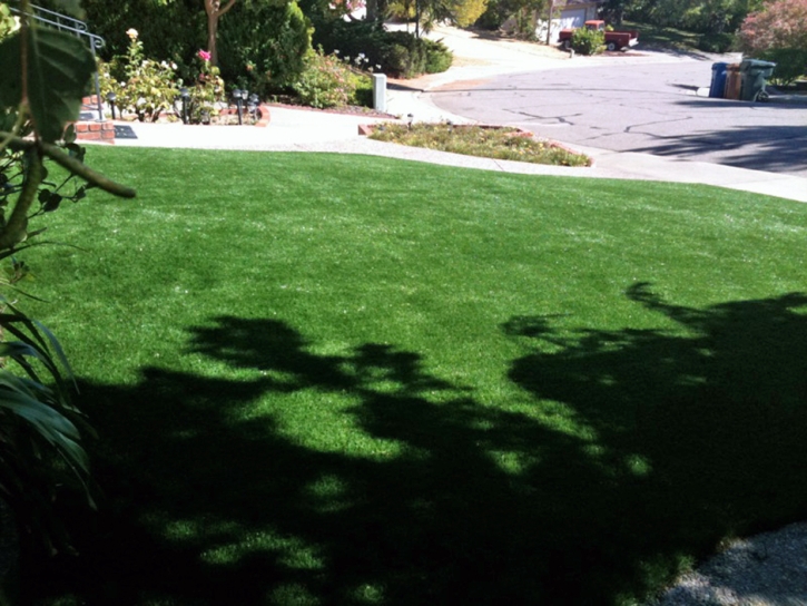 Synthetic Turf East Gaffney South Carolina Lawn Front Yard