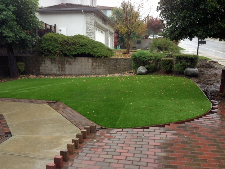 Synthetic Turf Heath Springs South Carolina Landscape Back