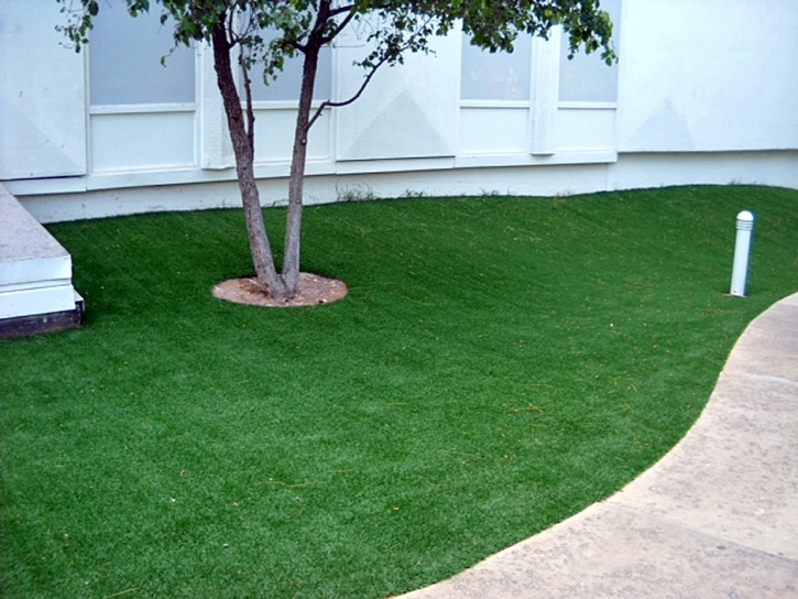 Synthetic Turf Lockhart South Carolina Lawn Commercial Landscape